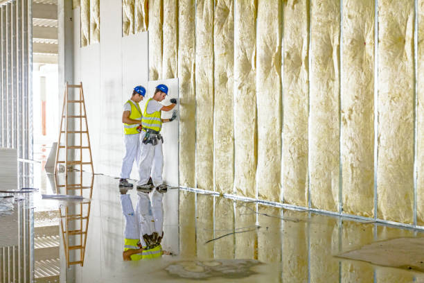 Attic Insulation Near Me in Mayville, MI
